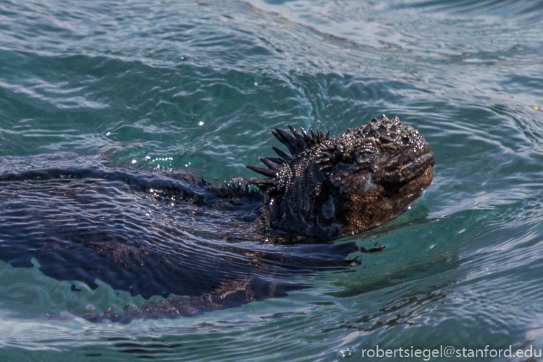 galapagos 2017